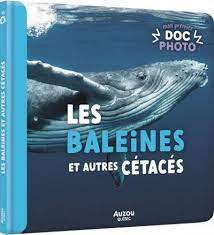 Mon premier doc photo - Les baleines et autres cétacés | Roberge, Sylvie