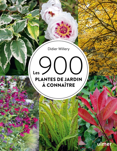 900 plantes de jardin à connaître (Les) | Willery, Didier (Auteur)