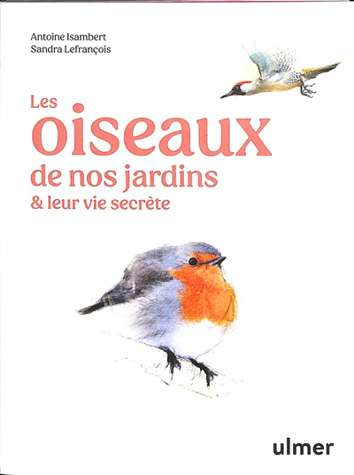 oiseaux de nos jardins & leur vie secrète (Les) | Isambert, Antoine (Auteur) | Lefrançois, Sandra (Illustrateur)