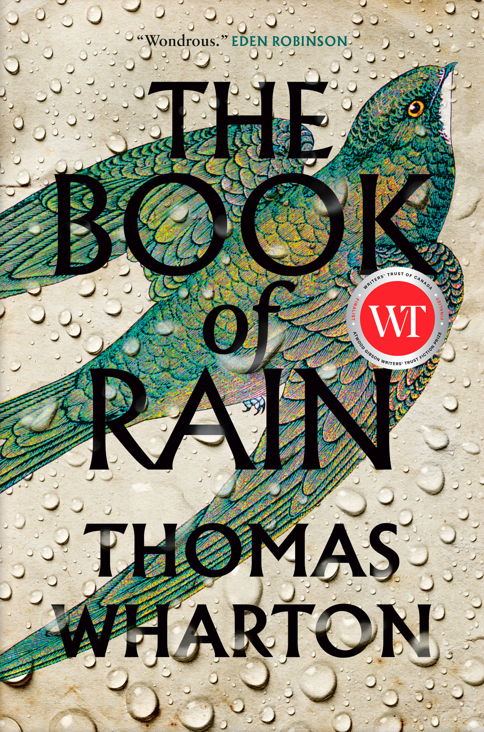 The Book of Rain | Wharton, Thomas (Auteur)