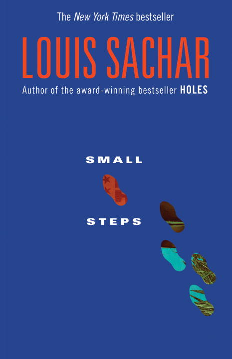 Holes Vol.2 - Small Steps | Sachar, Louis (Auteur)