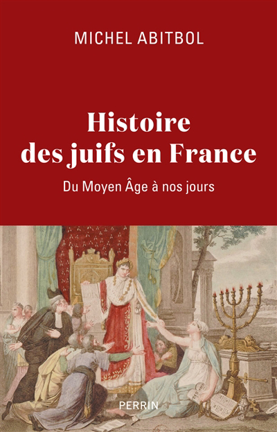 Histoire des Juifs en France : du Moyen Age à nos jours | Abitbol, Michel (Auteur)