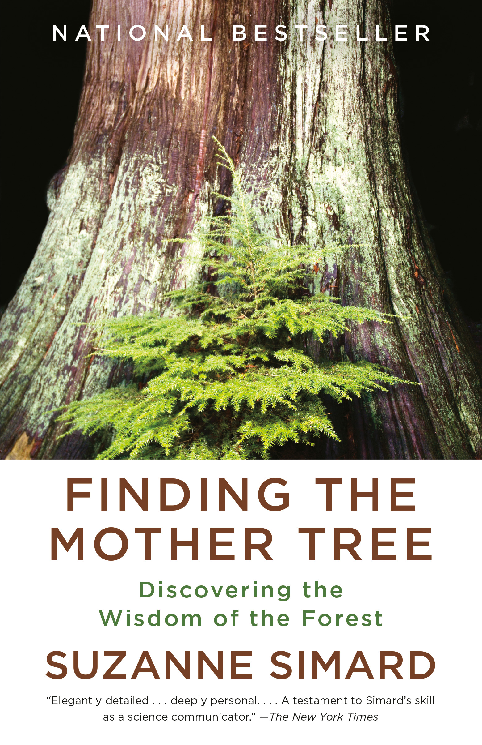 Finding the Mother Tree : Discovering the Wisdom of the Forest | Simard, Suzanne (Auteur)