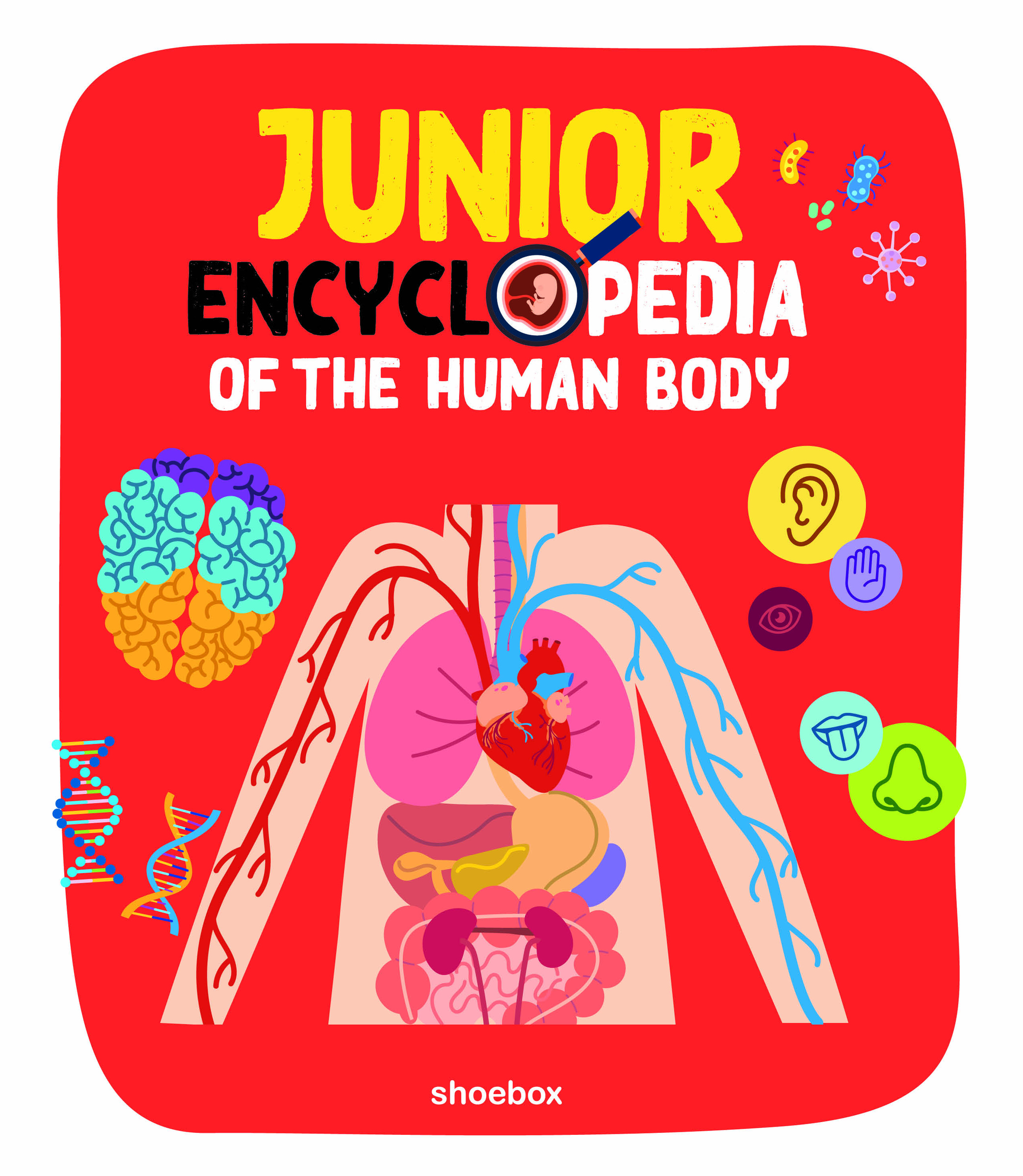 Junior Encyclopedia Of Human Body | Menard, Valerie (Auteur) | Chabot, Claire (Auteur) | McClish, Caroline (Auteur)