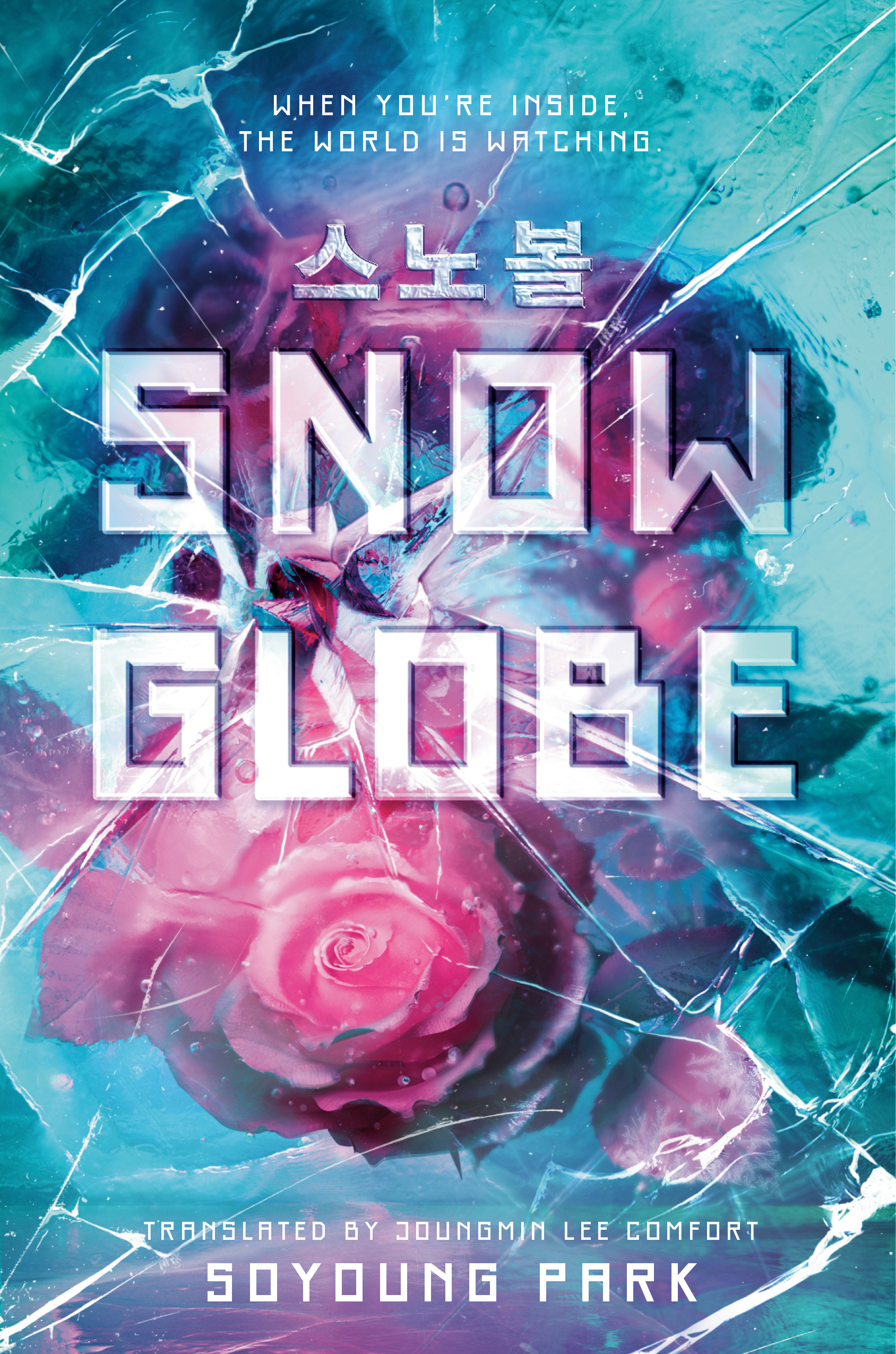 Snowglobe | Park, Soyoung (Auteur)