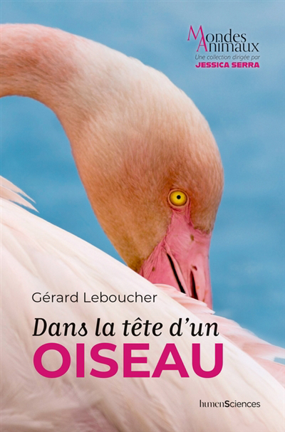 Dans la tête d'un oiseau | Leboucher, Gérard (Auteur)