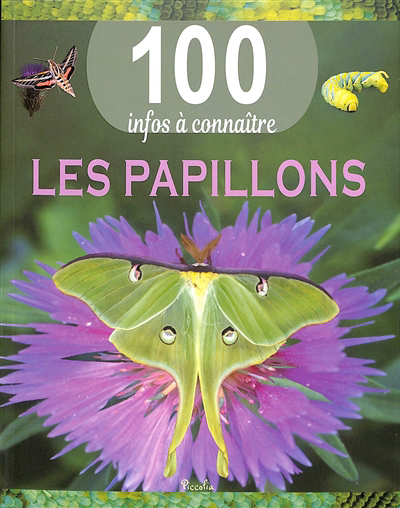 100 infos à connaître - Les papillons | 