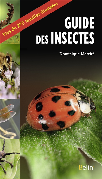 Guide des insectes : plus de 270 familles illustrées | Martiré, Dominique (Auteur)