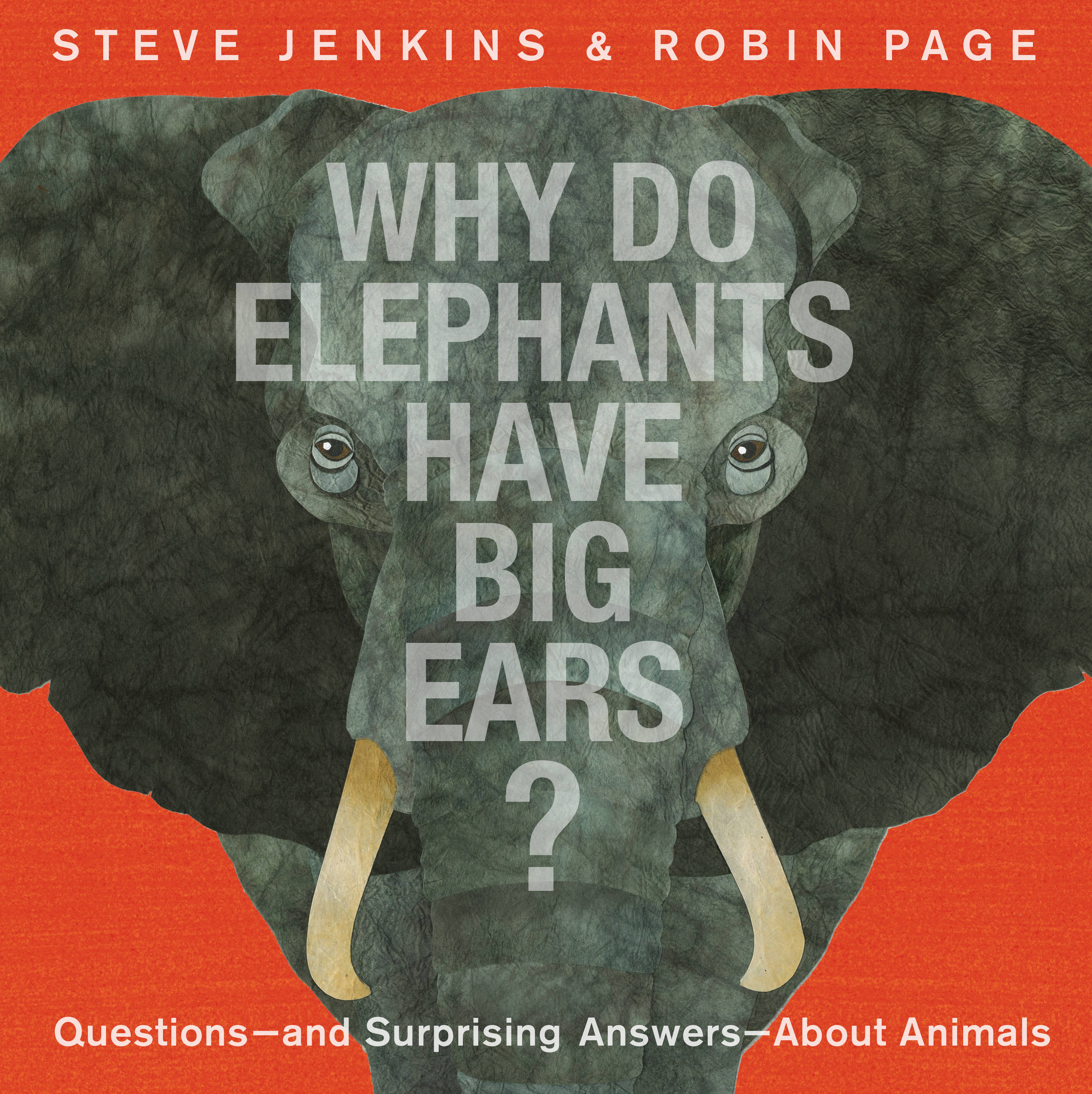 Why Do Elephants Have Big Ears? : Questions — and Surprising Answers — About Animals | Jenkins, Steve (Auteur) | Page, Robin (Auteur)