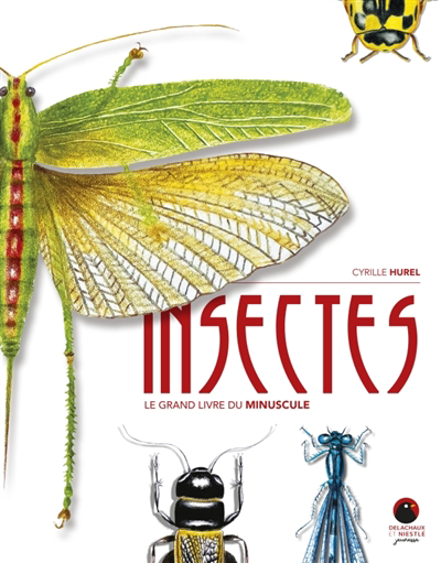 Insectes : le grand livre du minuscule | Hurel, Cyrille (Auteur)