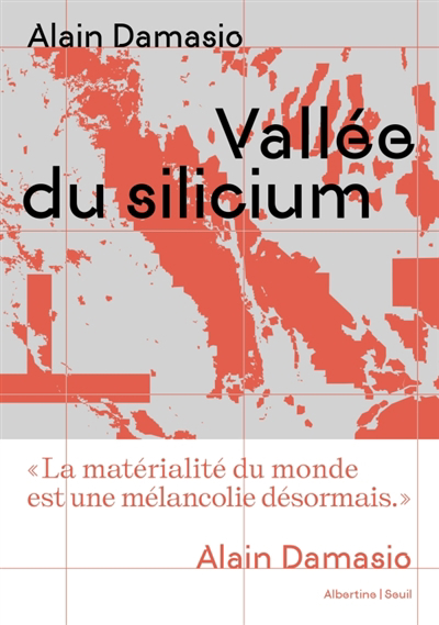 Vallée du silicium | Damasio, Alain (Auteur)