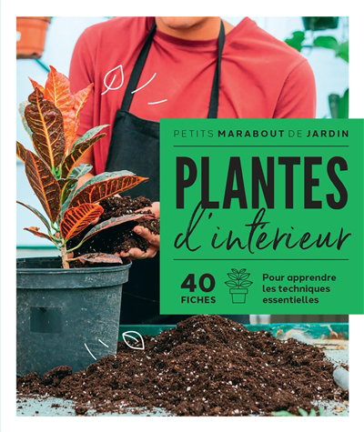 Plantes d'intérieur : 40 fiches pour apprendre les techniques essentielles | Pinson, Claire (Auteur)