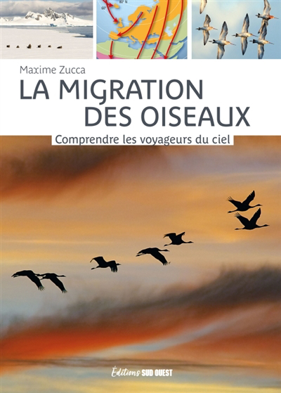 migration des oiseaux : comprendre les voyageurs du ciel (La) | Zucca, Maxime (Auteur)