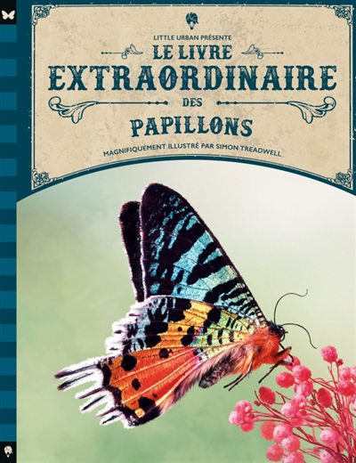 livre extraordinaire des papillons (Le) | Taylor, Barbara (Auteur) | Treadwell, Simon (Illustrateur)