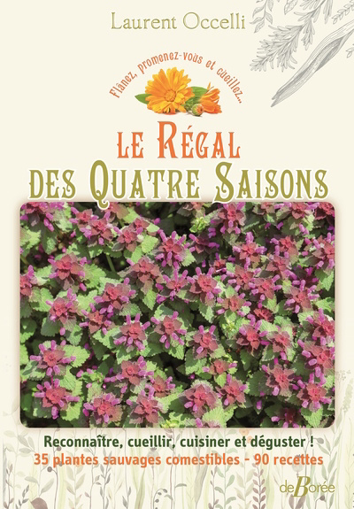 régal des quatre saisons : reconnaître, cueillir, cuisiner et déguster ! : 35 plantes sauvages comestibles, 90 recettes (Le) | Occelli, Laurent