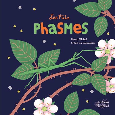 p'tits phasmes (Les) | Michel, Maud (Auteur) | Du Colombier, Chloé (Illustrateur)