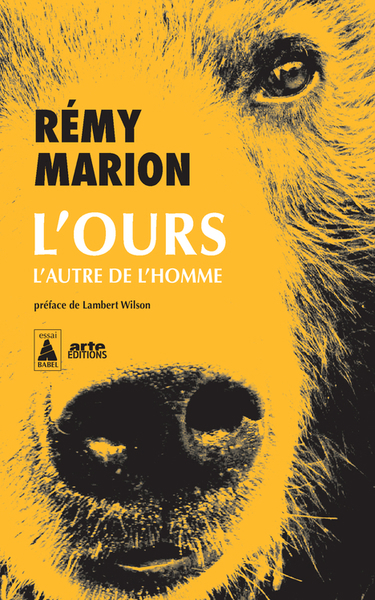 L'ours : l'autre de l'homme : documentaire | Marion, Rémy (Auteur)