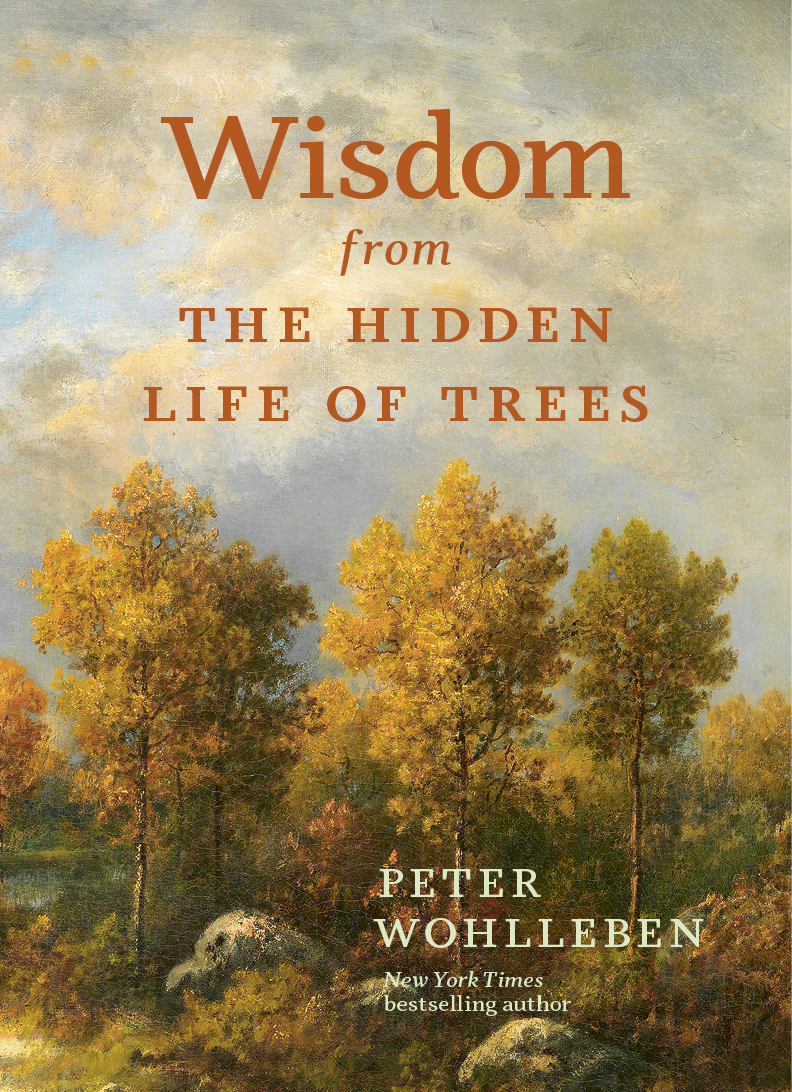 Wisdom From The Hidden Life of Trees | Wohlleben, Peter (Auteur)