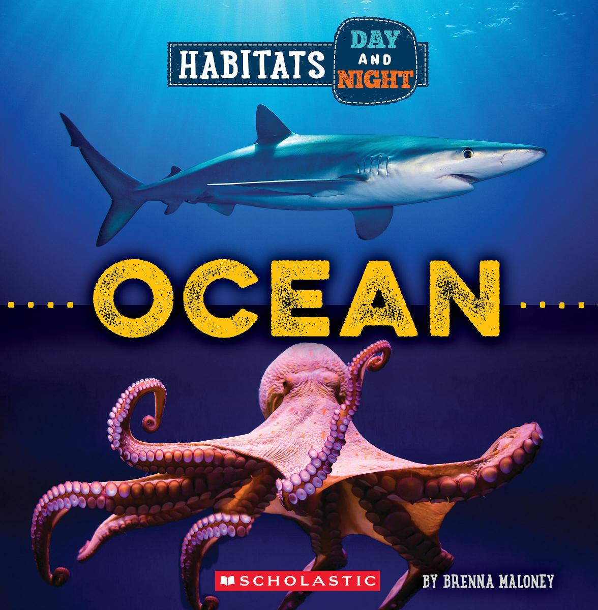 Ocean (Wild World: Habitats Day and Night) | Maloney, Brenna (Auteur)