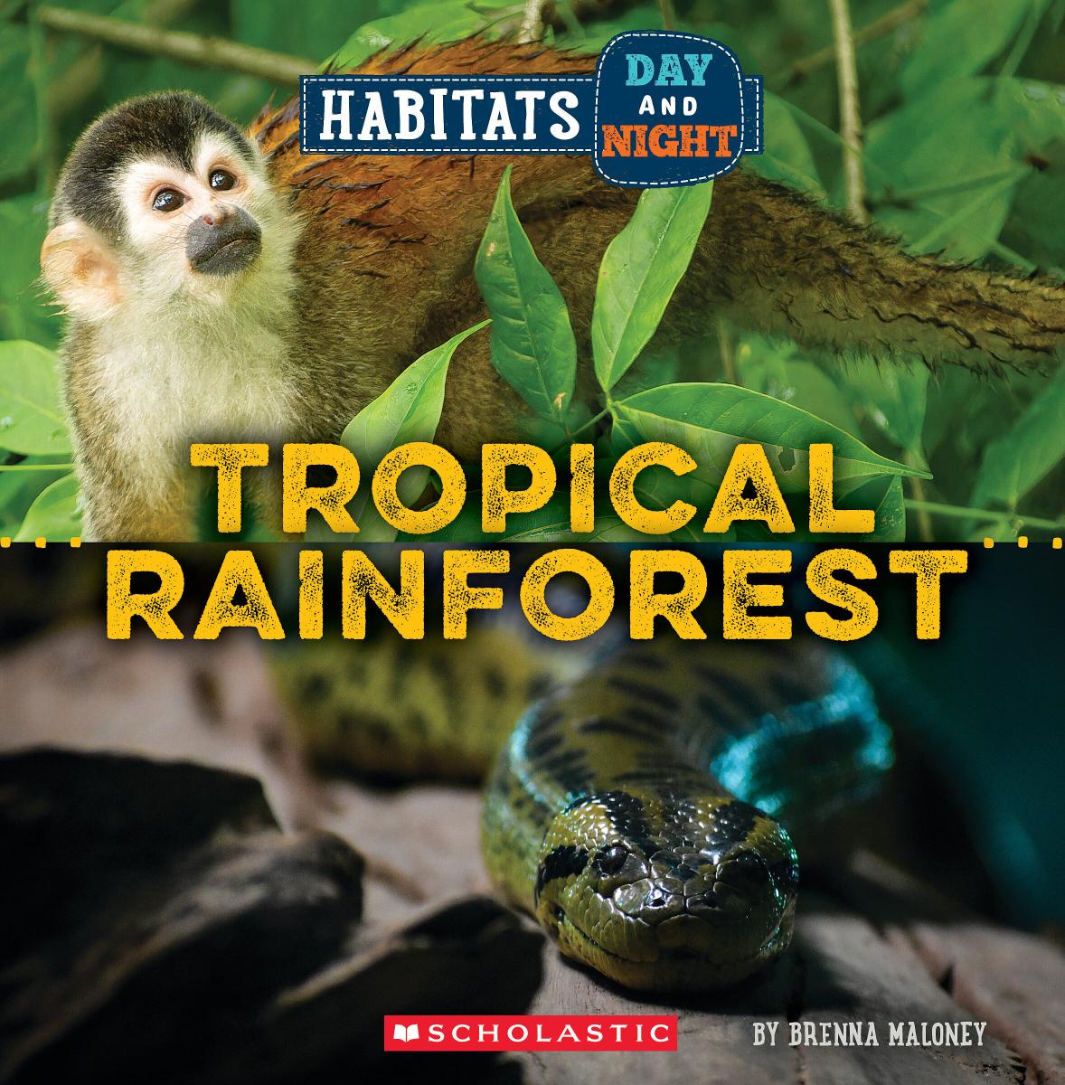 Tropical Rainforest (Wild World: Habitats Day and Night) | Maloney, Brenna (Auteur)