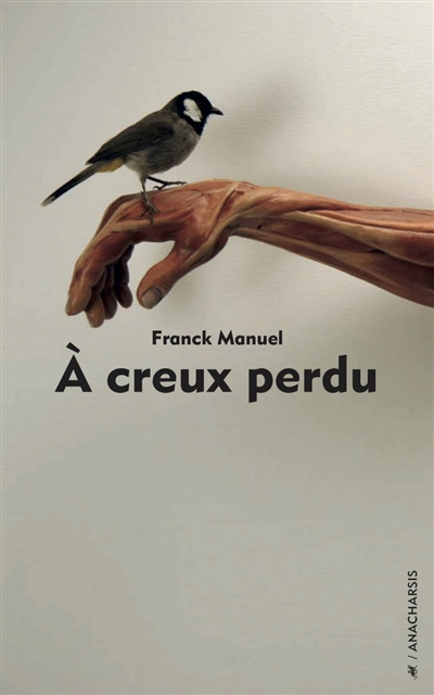 A creux perdu | Manuel, Franck (Auteur)