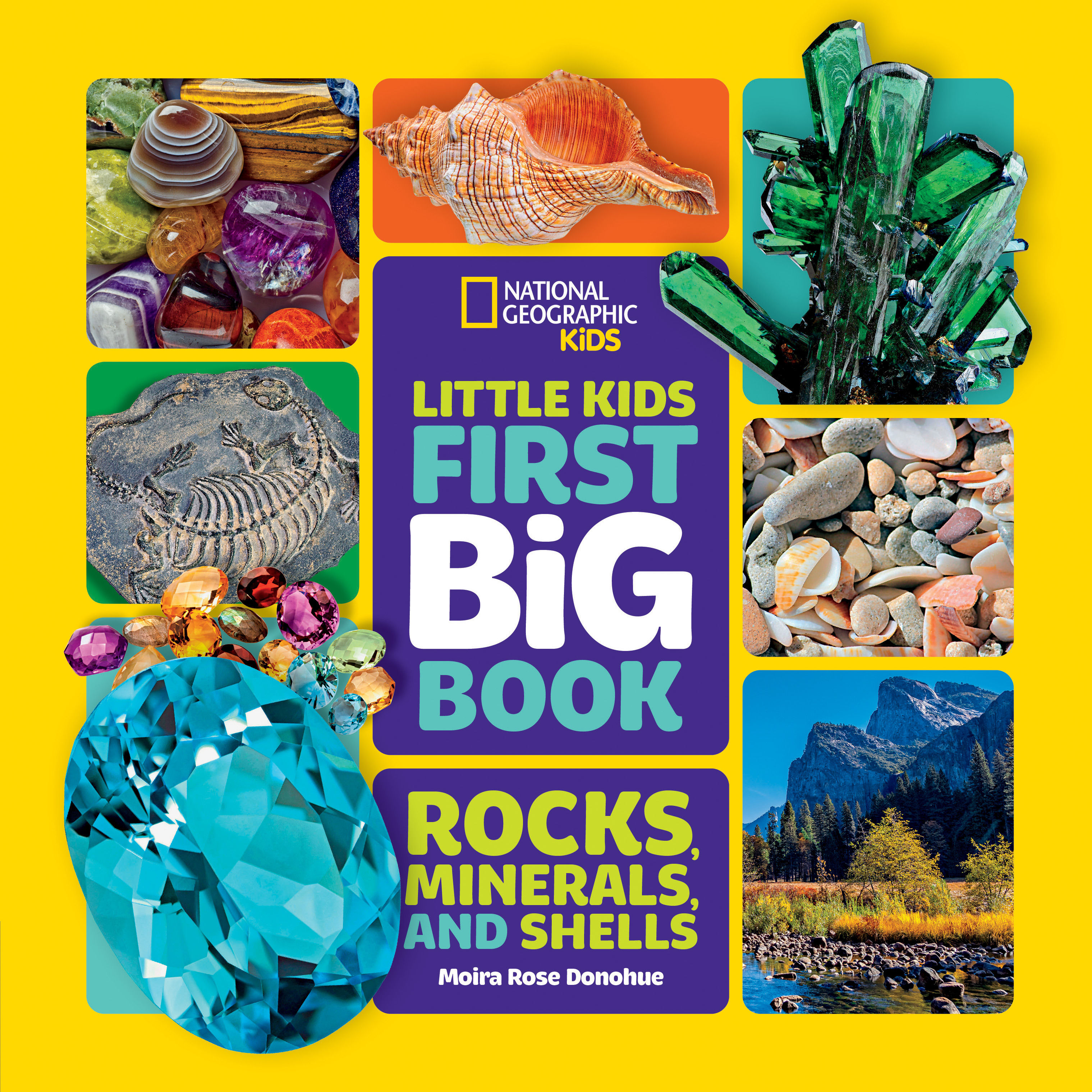 National Geographic Little Kids First Big Book of Rocks, Minerals & Shells | Donohue, Moira Rose (Auteur)