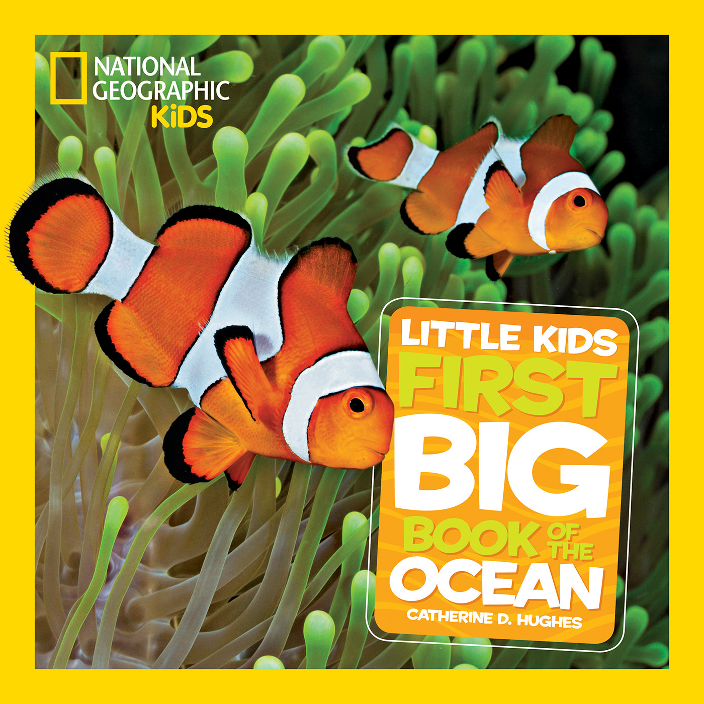 National Geographic Little Kids First Big Book of the Ocean | Hughes, Catherine D. (Auteur)