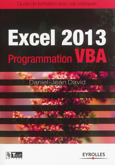 Excel 2013 | David, Daniel-Jean