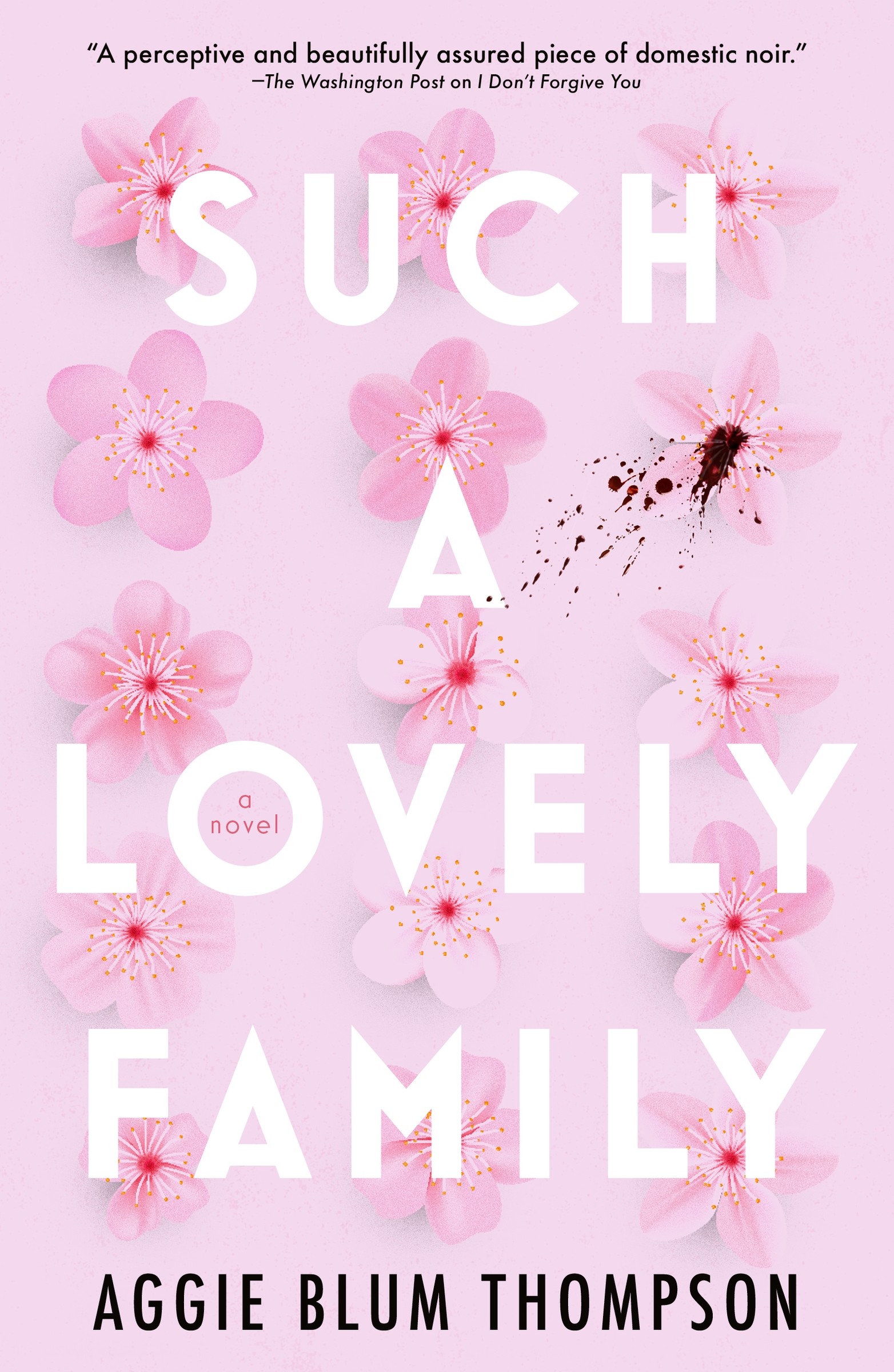 Such a Lovely Family | Thompson, Aggie Blum (Auteur)