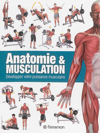 Anatomie & musculation | 